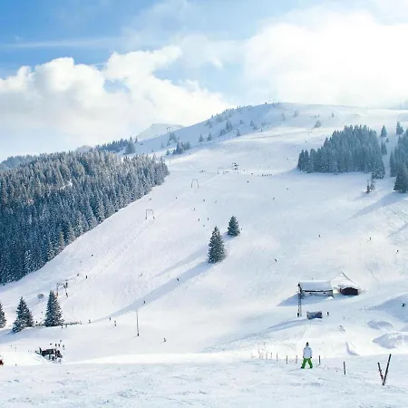 Liebevoll Eingerichtete In Den Alpen アパート